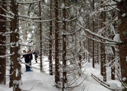 Krplje_Pokljuka_02