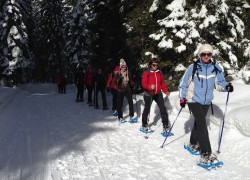 Krplje_Pokljuka_06